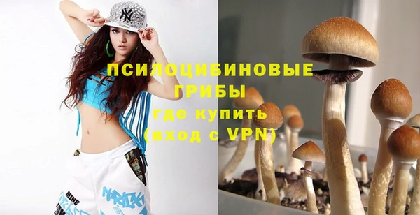 экстази Зеленокумск