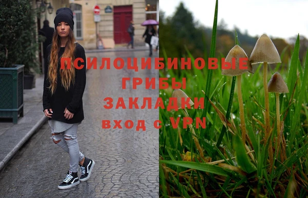 трава Зеленодольск