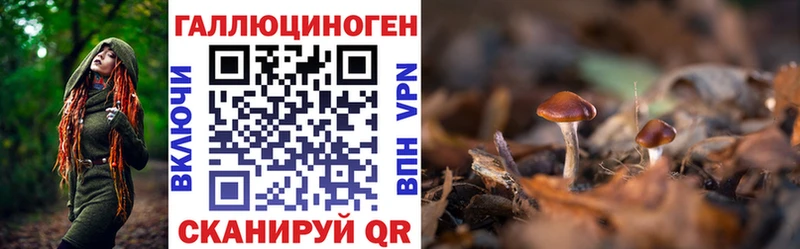 Псилоцибиновые грибы GOLDEN TEACHER  Купить где  Киселёвск 