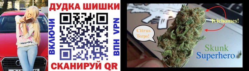 Бошки Шишки ГИДРОПОН  Купить где  Киселёвск 